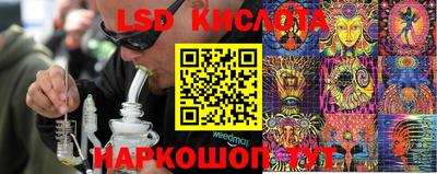 дживик Новозыбков