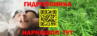 дживик Новозыбков