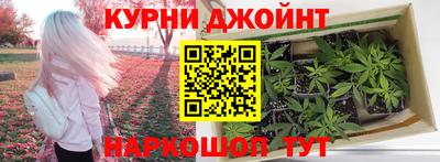 прущие грибы Новокубанск