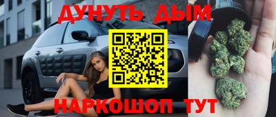 прущие грибы Новокубанск