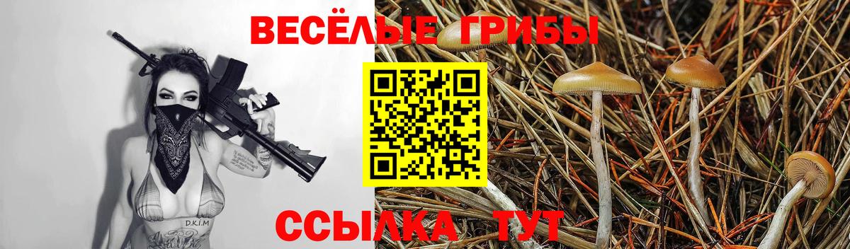 Тамбов  Псилоцибиновые грибы мицелий  Вход с VPN  Псилоцибиновые грибы MAGIC MUSHROOMS 